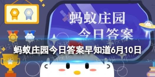 星星球怎么黑