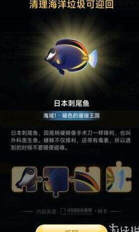 蚂蚁庄园星星球接球多少次？探秘蚂蚁庄园星星球的接球记录