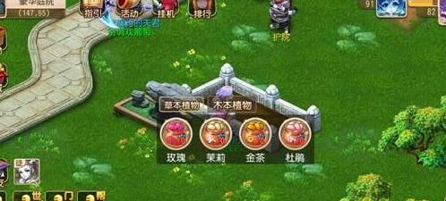 在哪能买号