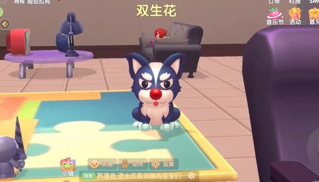小麦去哪里买