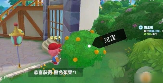整套购买怎么操作