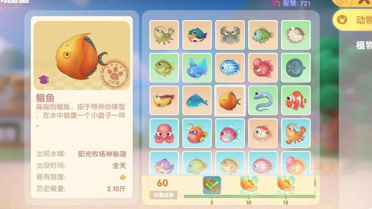 摩尔庄园最新道具-装修道具|装扮道具|抓宠物道具