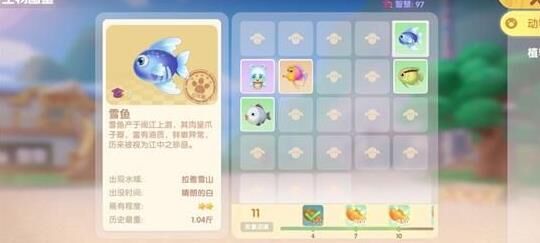 不能认证