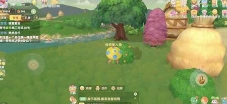 小动物吃什么菜