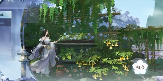 怎么给马装上马鞍