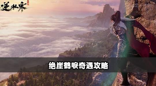 铁子选择什么身份