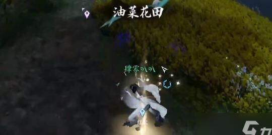 逆水寒如何获得无情轮椅？详细攻略分享！