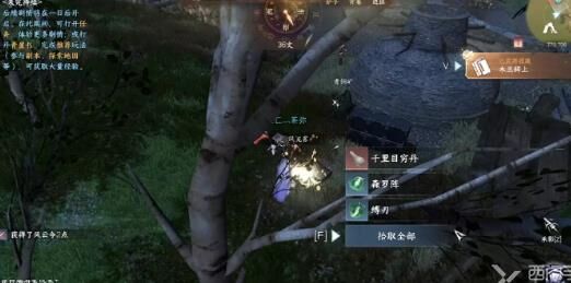 大相国寺迷宫在哪