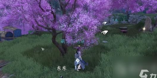 逆水寒改名上限-改名人物|改名太贵|改名时间