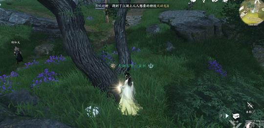 竞技是全服排位吗