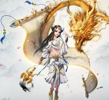 二维码不显示