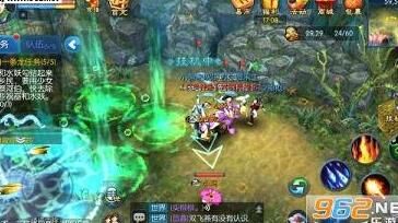 宠物资质40