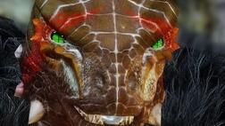 上古卷轴5传奇与天际的区别——完美沉浸式rpg体验对比