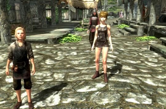 上古卷轴5狼人女王-狼女王书|狼女王信|狼女王门