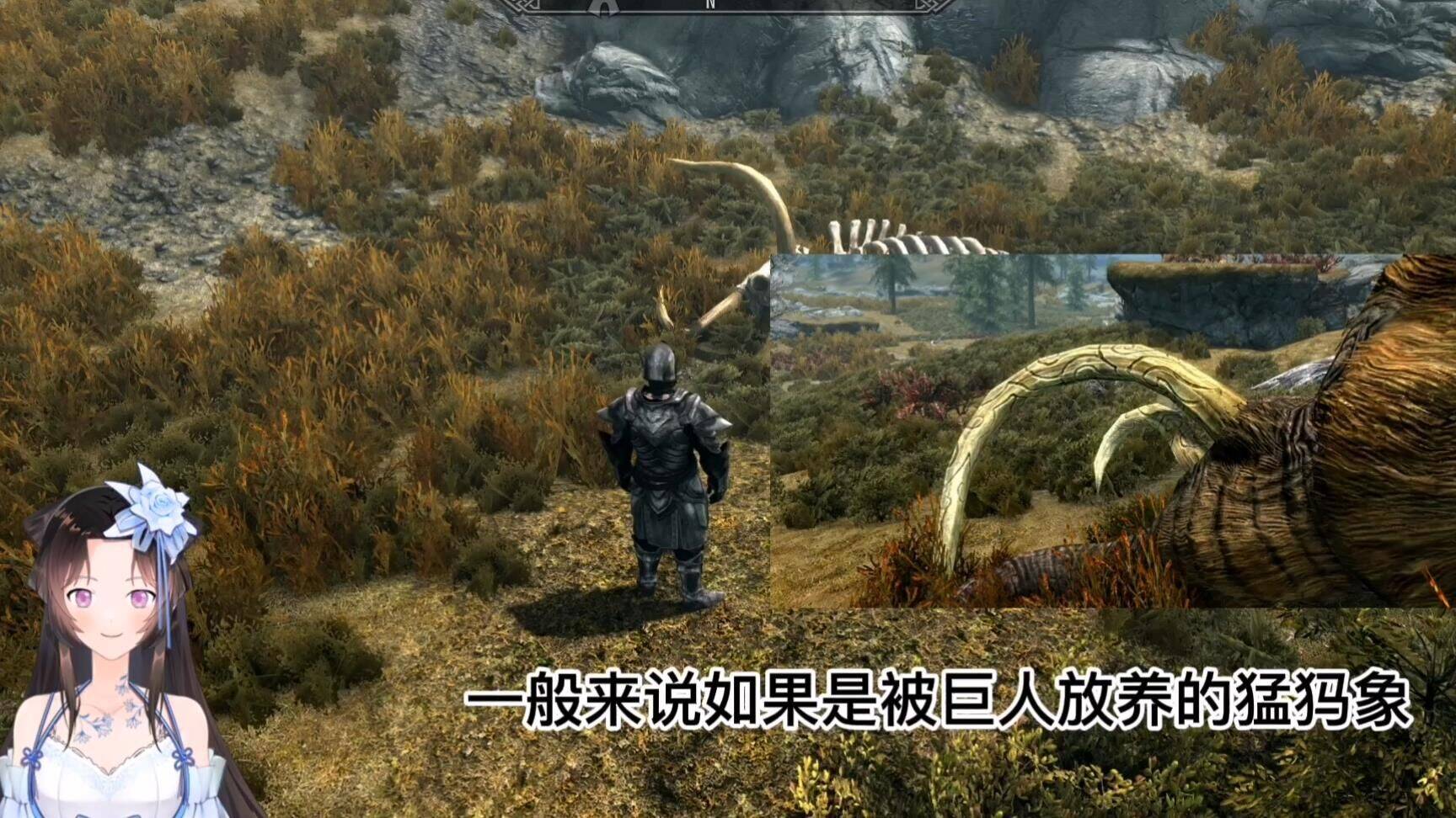 上古卷轴5hd材质-jj材质|jy材质|mc材质