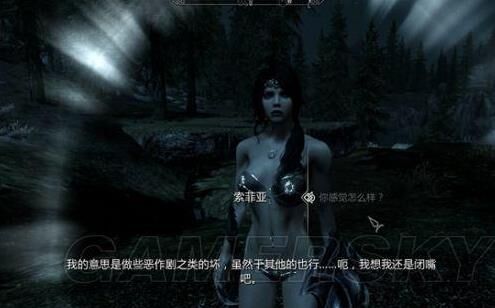 上古卷轴5如何获得最佳附魔效果？