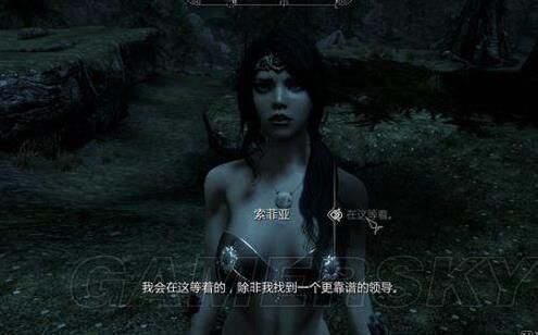 上古卷轴5法力值空-法力值负|法力战斧|法力值是0
