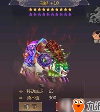 宠物经验怎么看