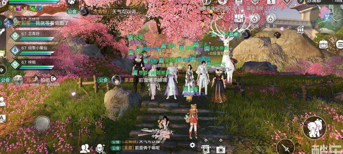 带什么神格