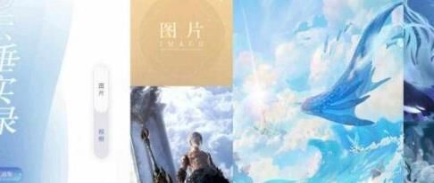 圣堂什么属性最好