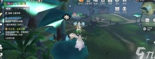 新手买什么