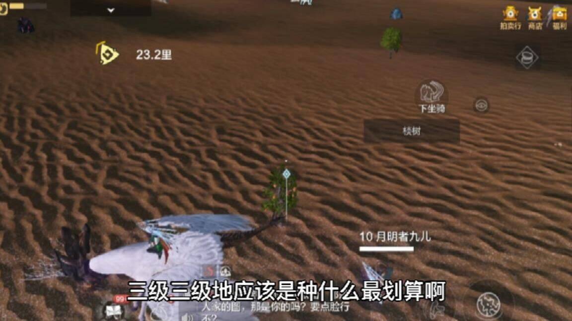 宠物能砍树吗