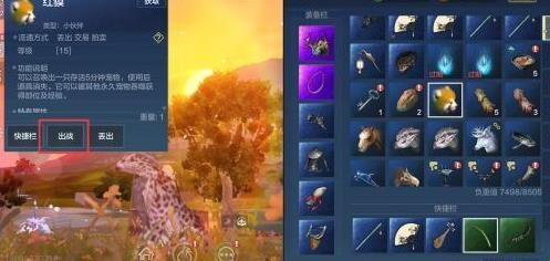 狐狸怎么养