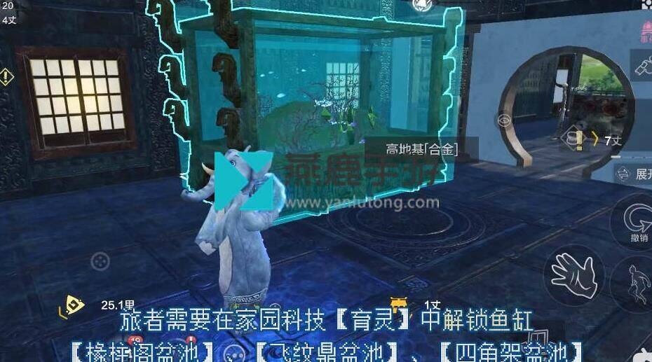 抬望眼配什么武器