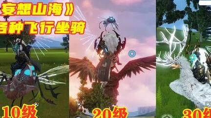 pvp要什么属性