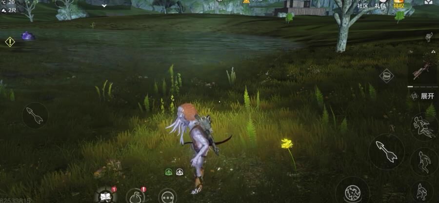 神秘的妄想山海年鱼苗的来源揭秘！