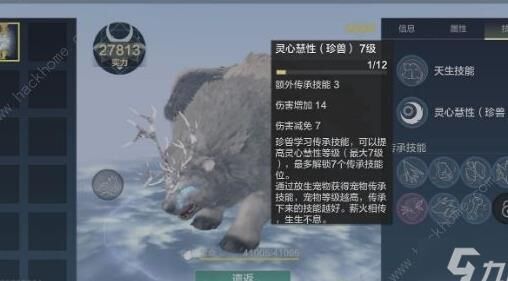 怎么预约新服