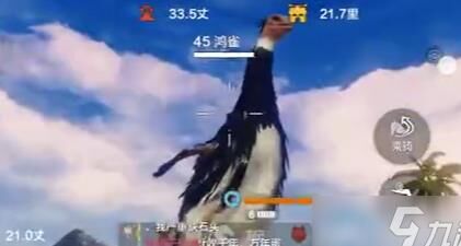东岛图出什么