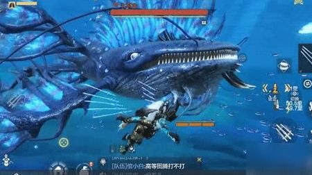 妄想山海熊猫武功-熊猫武学|熊猫现状|熊猫玺脸