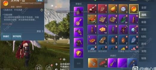 妄想山海抓宠物等级区别，助您轻松成为宠物大师！