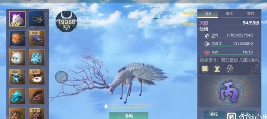 鲲鹏哪里可以吞蛟龙