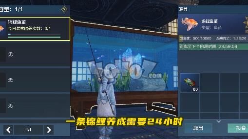 坐骑资质多少