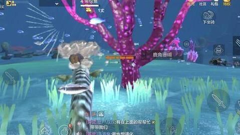 妄想山海小青伤害-小青侍从|小青台词|小青实战