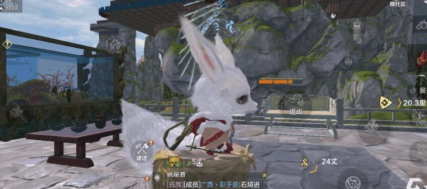 什么蛋最好补