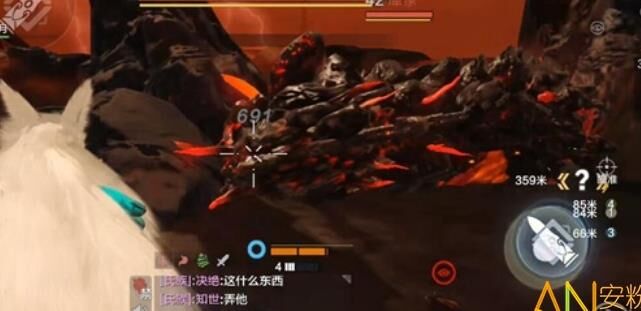 新手怎么养宠
