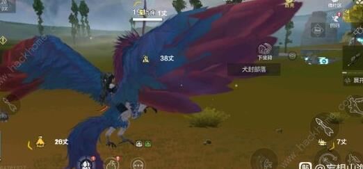 扔掉物品捡不到