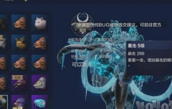 怎么快速获得红貘