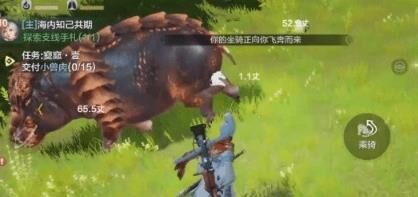 鳄鱼哪个好
