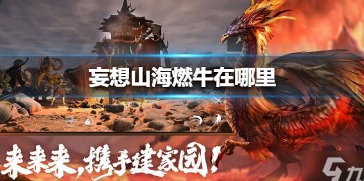 怎么用捕捉器