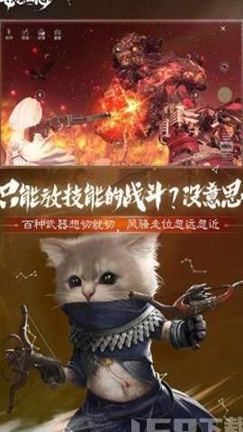 芸琪长什么样子