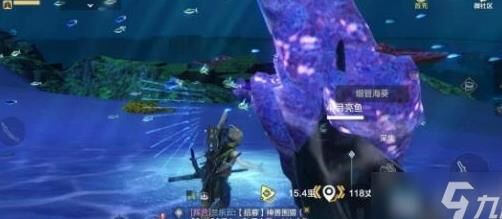哪个是弓箭手
