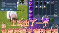 白雕等级多少