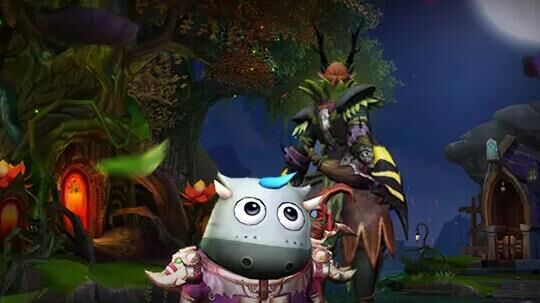 用什么骑士